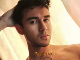 Anguscaeli