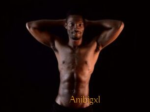Anibigxl