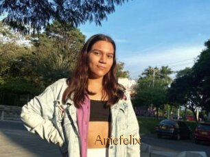 Aniefelix