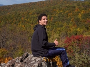 Anis66