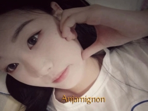 Anjamignon