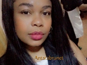 Antarabrunet