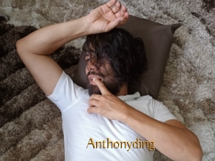Anthonyding