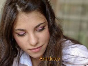 Antidotea