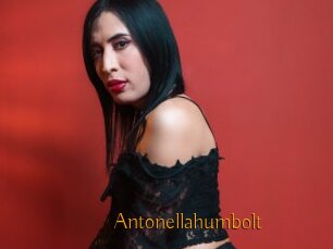 Antonellahumbolt