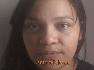 Antonellalovee