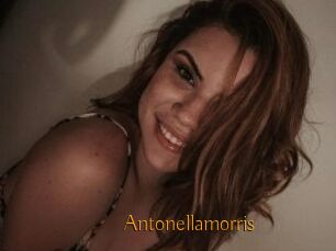Antonellamorris