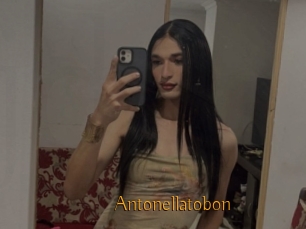 Antonellatobon