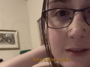 Antoniaborromini
