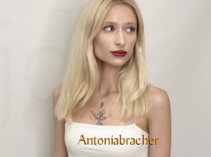 Antoniabracher