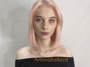 Antoniahallsted