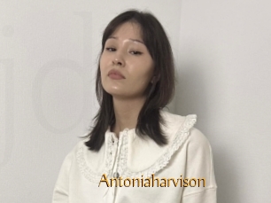 Antoniaharvison