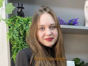 Antoniarodrigo