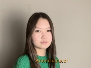 Antoninapucci