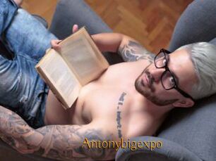 Antonybigexpo