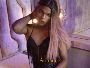 Ari_monet