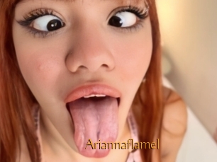 Ariannaflamel
