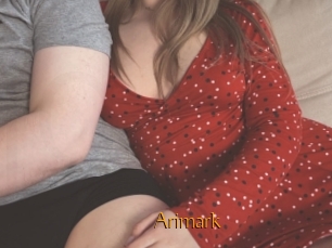 Arimark