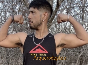Arquerodeplata