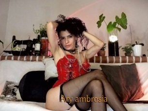 Ary_ambrosia