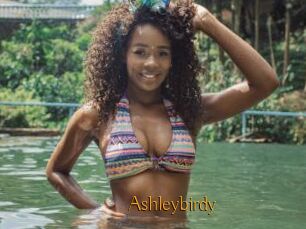 Ashleybirdy