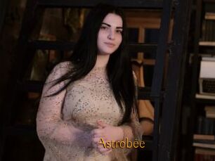 Astrobee