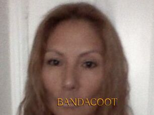 BANDACOOT