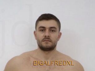 BIGALFREDXL