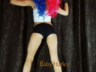 Baby_Harley