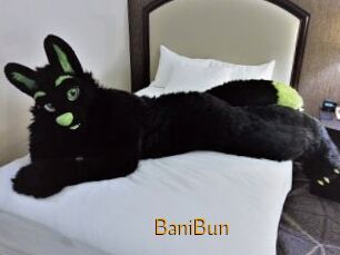 BaniBun