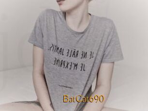 BatCat690
