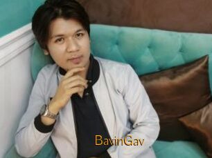 BavinGav