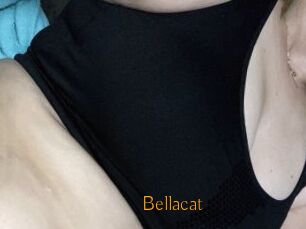 Bella_cat