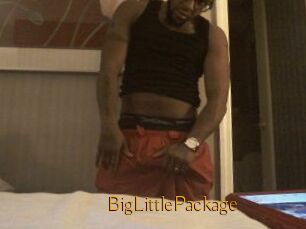 BigLittlePackage