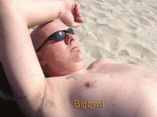 Bigbyrd