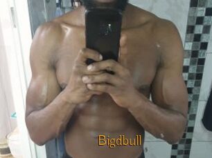 Bigdbull