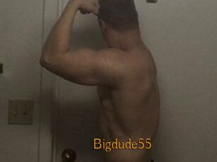 Bigdude55