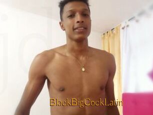 BlackBigCockLatin