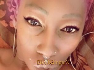 BlackGingerX
