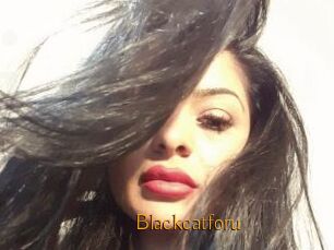 Blackcatforu
