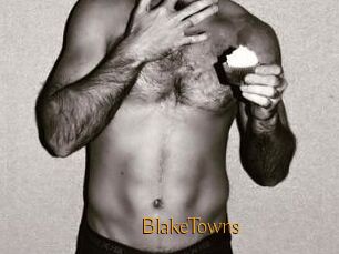 BlakeTowns