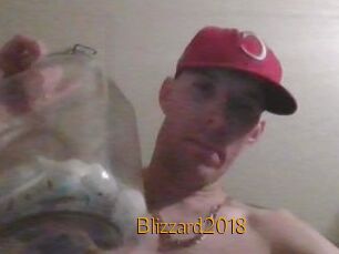 Blizzard2018