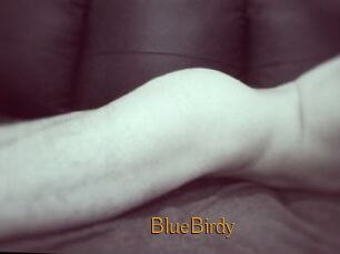 BlueBirdy
