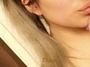 Blue_jay