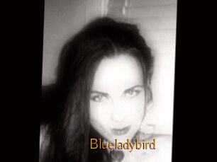 Blueladybird