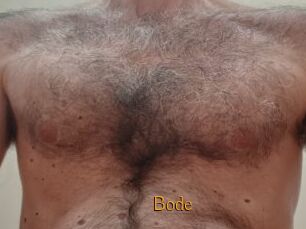 Bode
