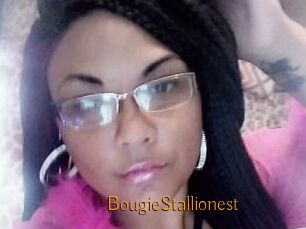 BougieStallionest