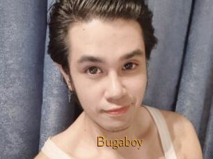 Bugaboy