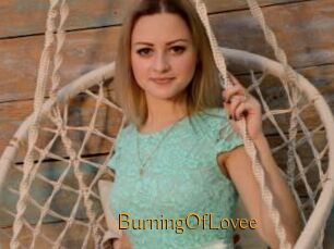 BurningOfLovee