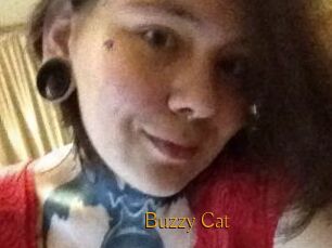 Buzzy_Cat